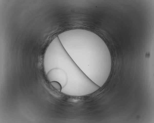 X0000111230563200907091338