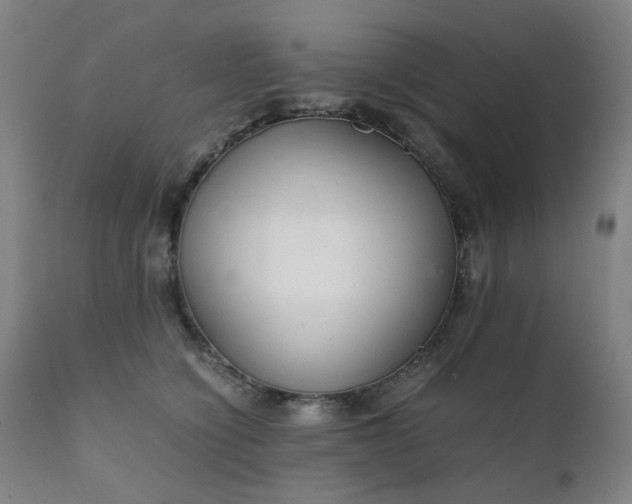 X0000111230564200907091338