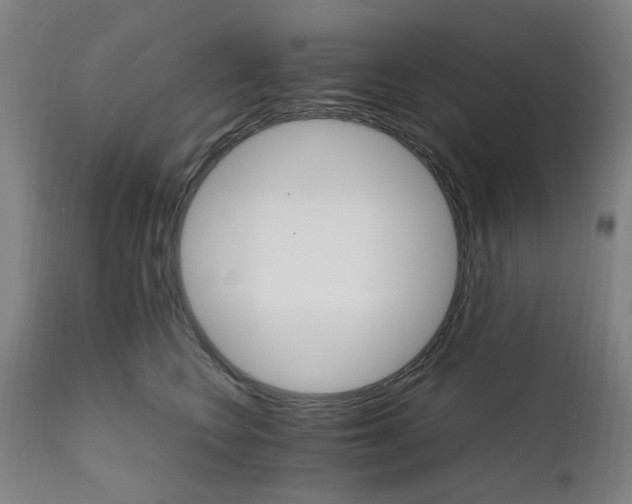X0000111230566200907091338