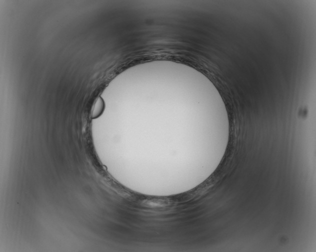 X0000111230567200907091338