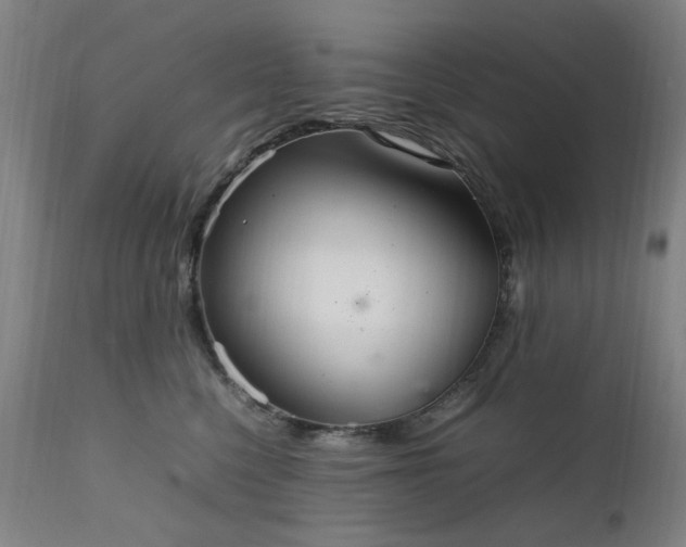 X0000111230568200907091338