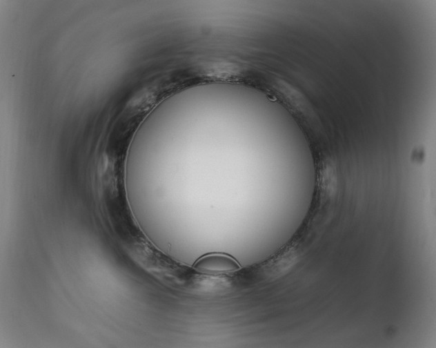 X0000111230572200907091338
