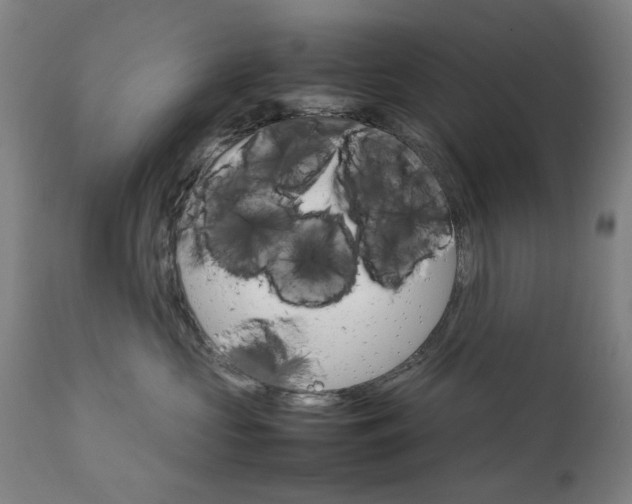 X0000111230573200907091338