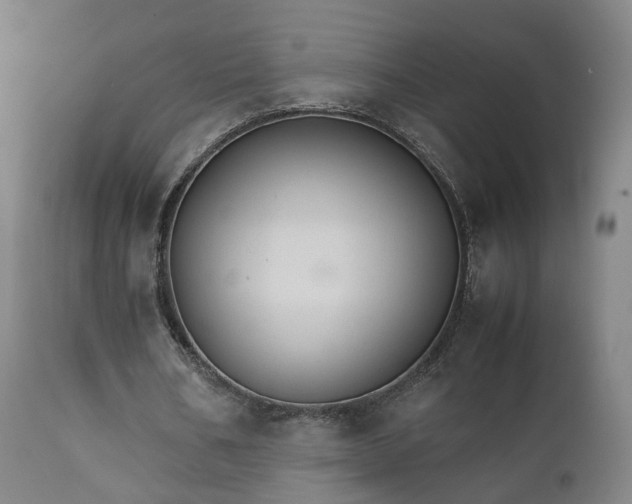 X0000111230578200907091337