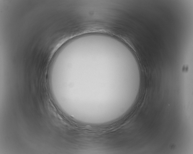 X0000111230579200907091337