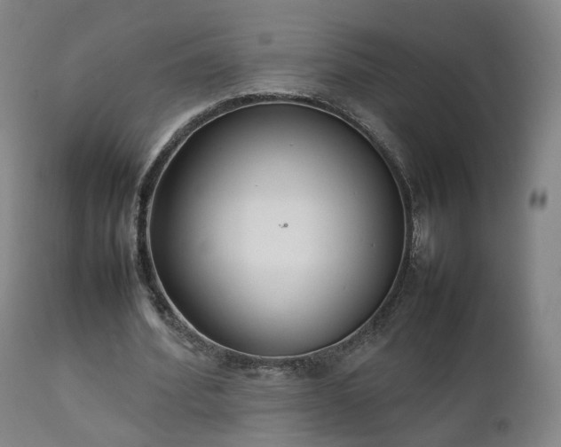X0000111230580200907091337