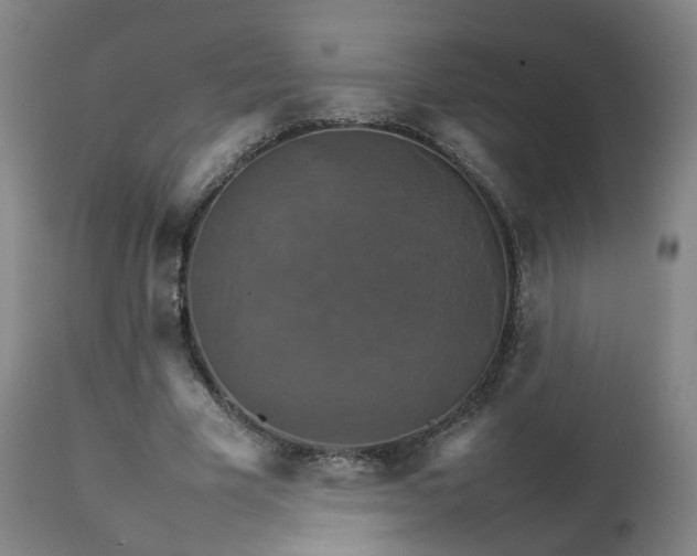 X0000111230585200907091337