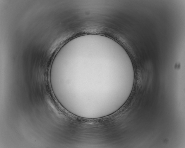 X0000111230586200907091337
