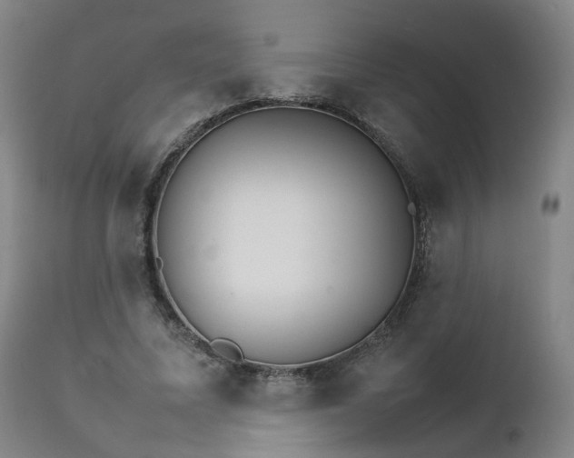 X0000111230587200907091337