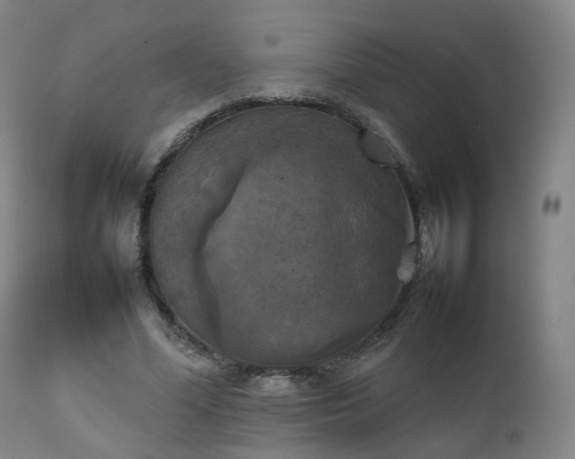 X0000111230588200907091337