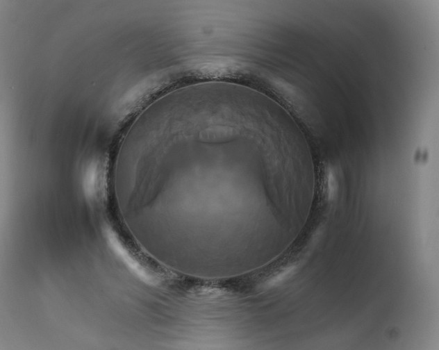 X0000111230590200907091337