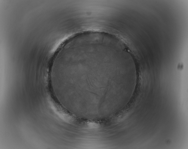 X0000111230592200907091337
