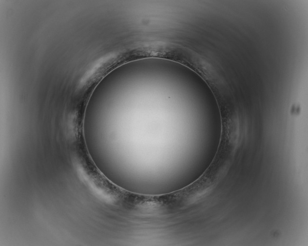 X0000111230594200907091337
