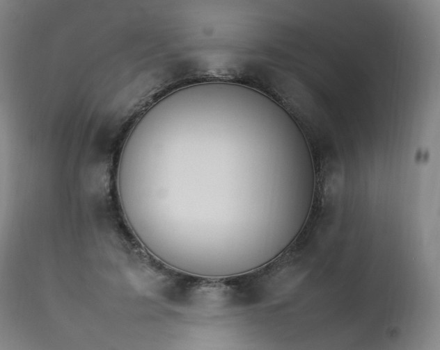 X0000111230595200907091337