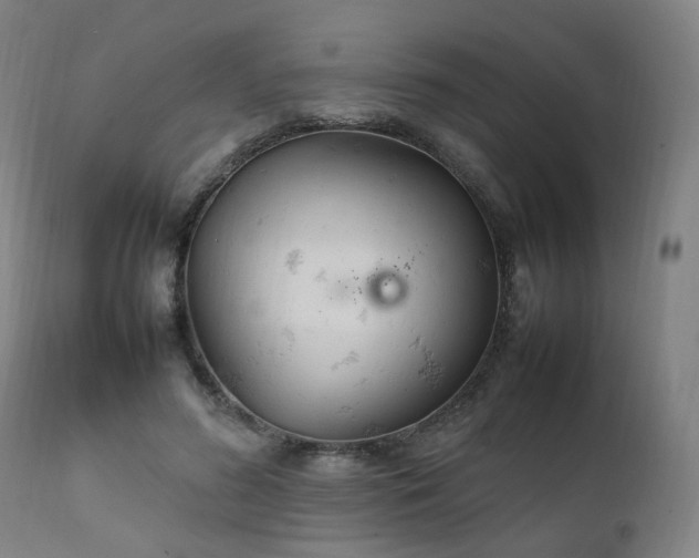 X0000111230596200907091337