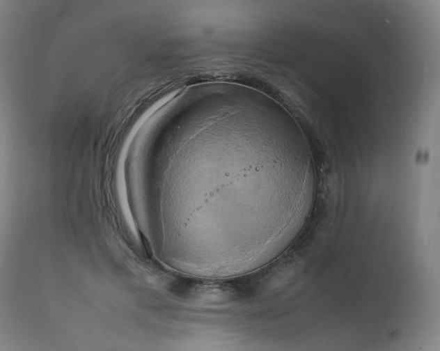 X0000111230597200907091337