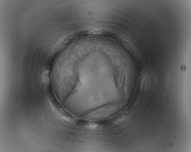 X0000111230598200907091337