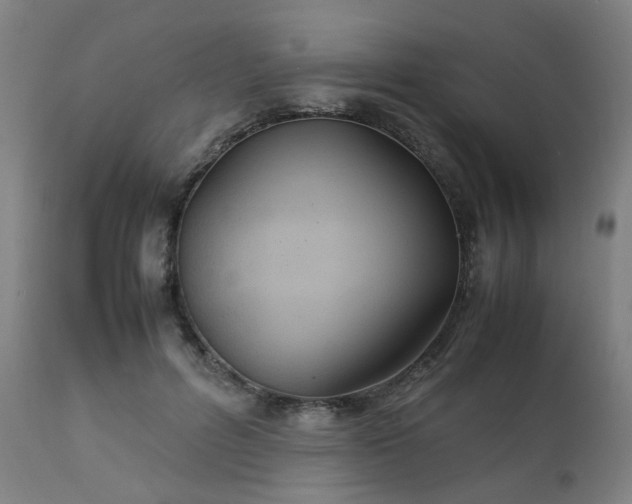 X0000111230600200907091337