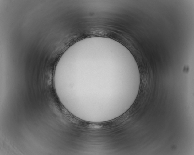X0000111230602200907091337