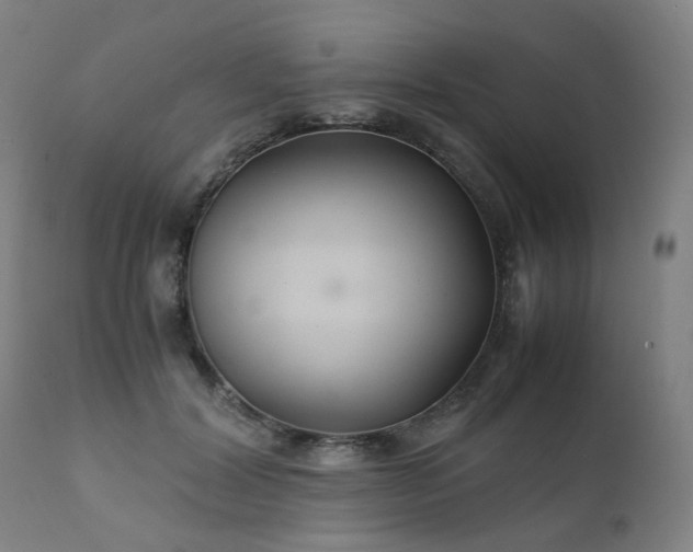 X0000111230604200907091337