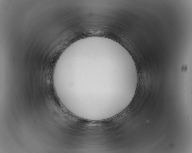 X0000111230606200907091337