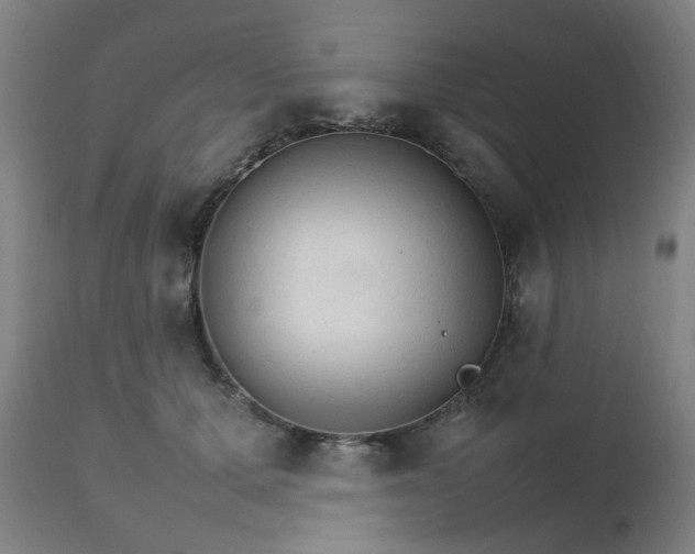 X0000111230607200907091337