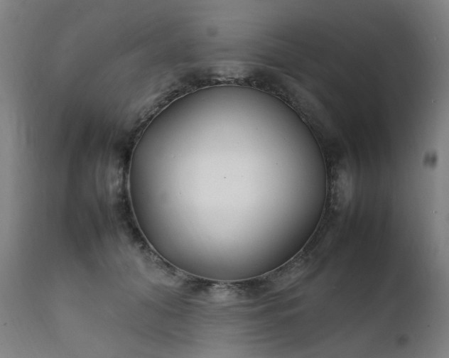 X0000111230608200907091337