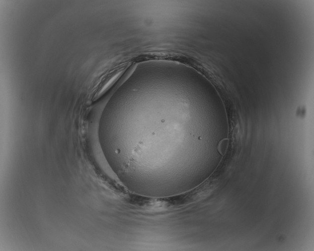 X0000111230609200907091337