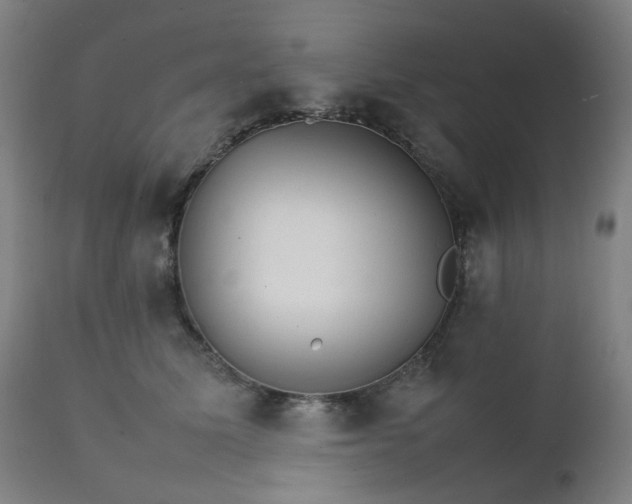 X0000111230611200907091337