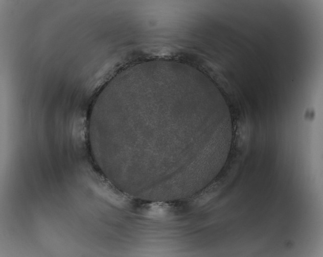 X0000111230612200907091337