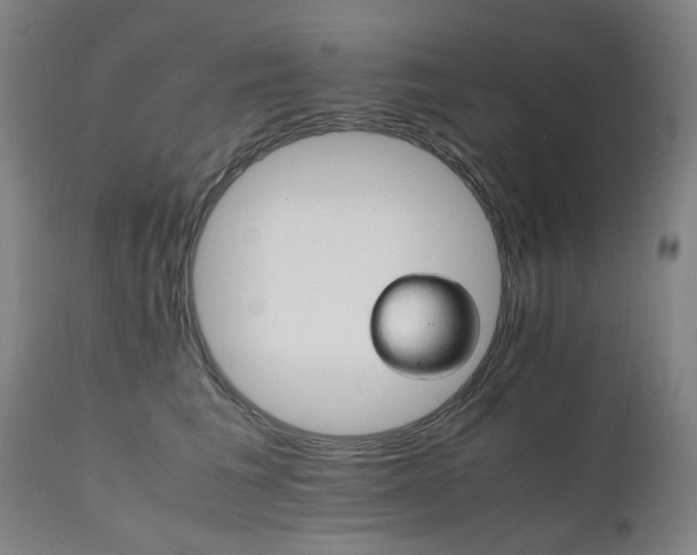 X0000111230613200907091337