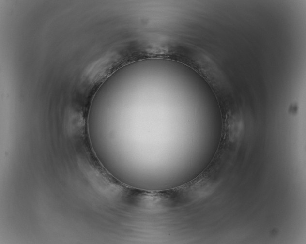X0000111230614200907091337