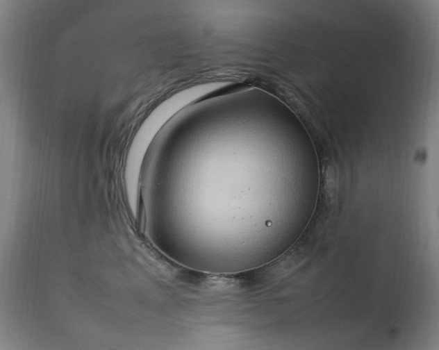 X0000111230617200907091337