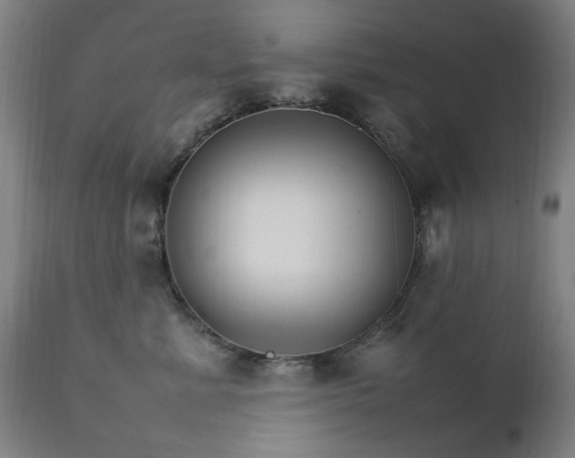 X0000111230619200907091337