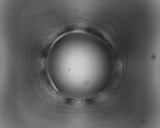 X0000111230621200907091337