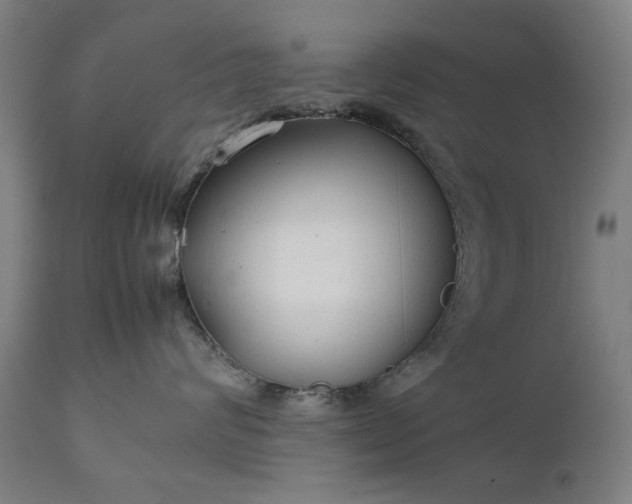 X0000111230624200907091337
