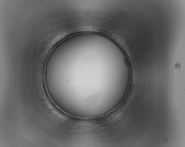 X0000111230625200907091336
