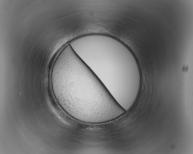 X0000111230630200907091336