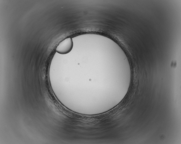 X0000111230631200907091336