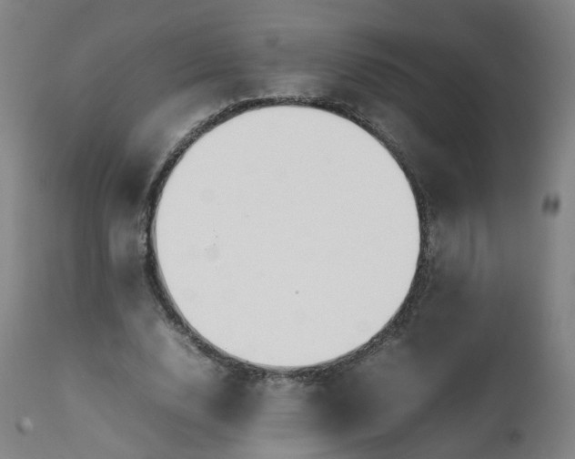 X0000111230632200907091336