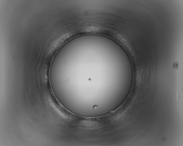 X0000111230633200907091336