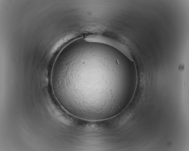 X0000111230634200907091336