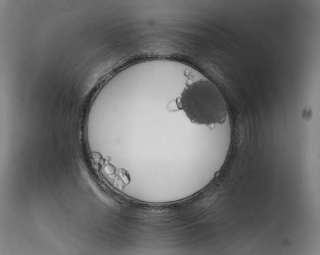 X0000111230638200907091336