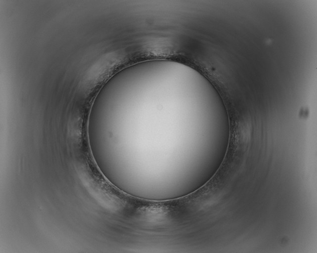 X0000111230639200907091336