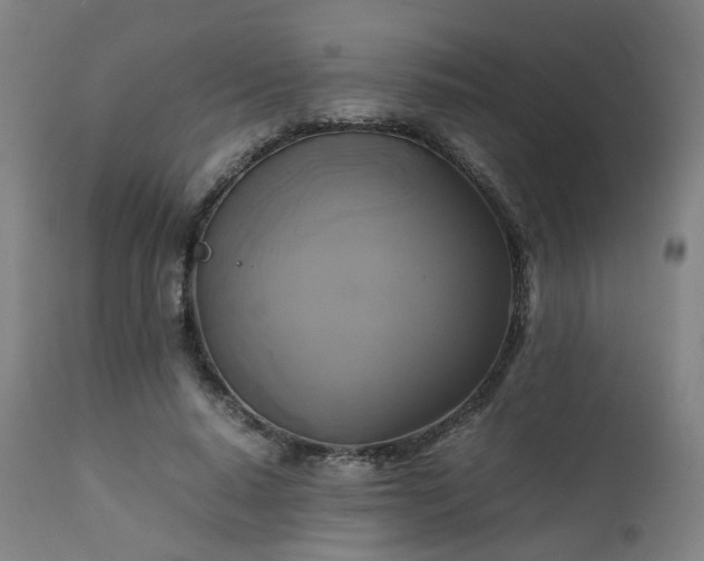 X0000111230640200907091336