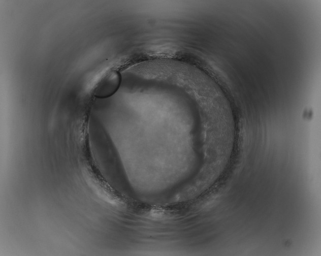 X0000111230641200907091336