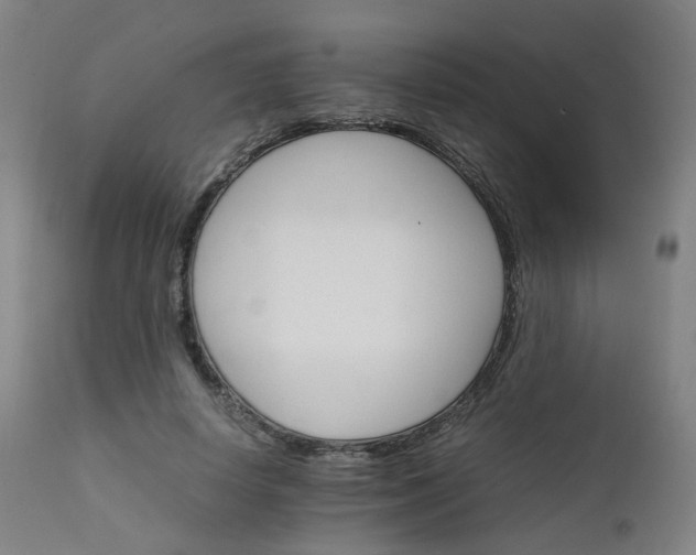 X0000111230642200907091336
