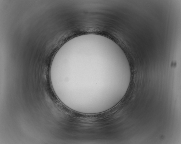 X0000111230643200907091336