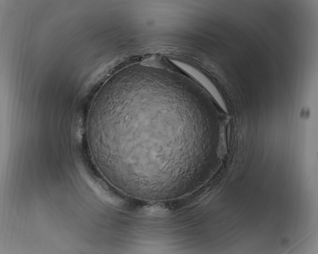 X0000111230644200907091336