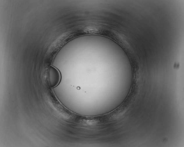 X0000111230645200907091336